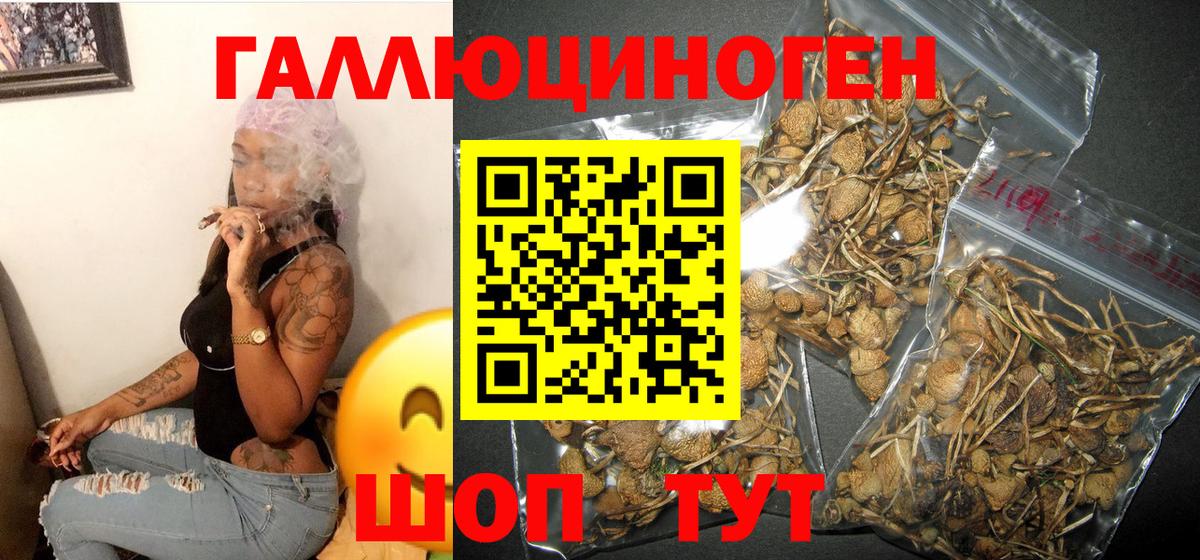 Псилоцибиновые грибы MAGIC MUSHROOMS  Вход с VPN  Волжск 