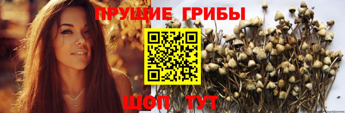 Галлюциногенные грибы мицелий Волжск